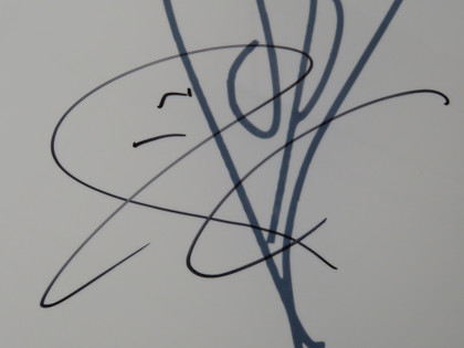 Smashing Pumpkins Signed Drumhead AQ12255