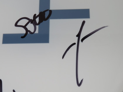 Omnium Gatherum Signed Drumhead