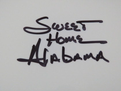 Lynyrd Skynyrd Signed Drumhead RR58810