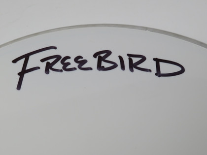 Lynyrd Skynyrd Signed Drumhead LH-WIT838172