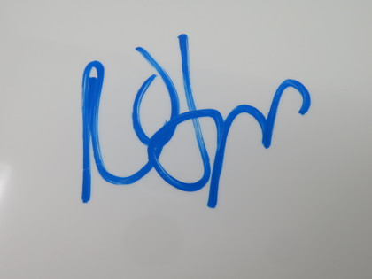 The Cure Signed Drumhead LH-FF52318