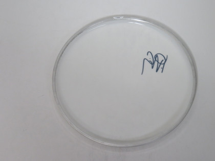 Chelsea Grin Signed Drumhead RR58680