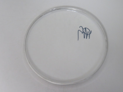 Chelsea Grin Signed Drumhead RR58682