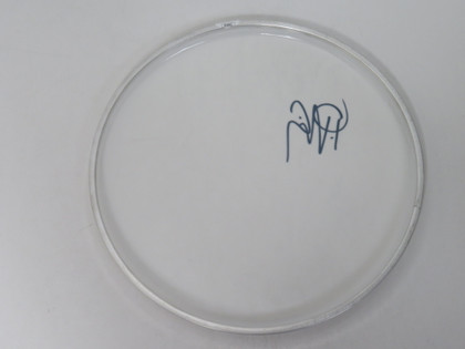 Chelsea Grin Signed Drumhead 2