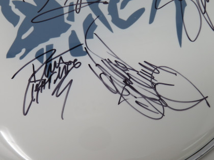 Vixen Signed Drumhead RR58675