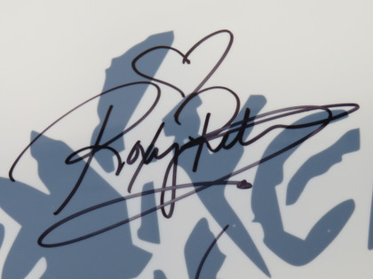 Vixen Signed Drumhead RR58675