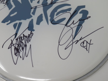 Vixen Signed Drumhead RR58674