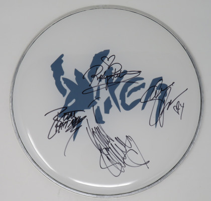 Vixen Signed Drumhead RR58676