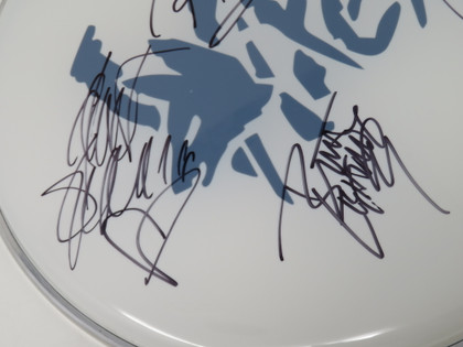 Vixen Signed Drumhead RR58677