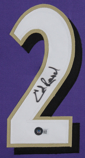 Ed Reed Authentic Signed Purple Pro Style Framed Jersey Autographed BAS Witness
