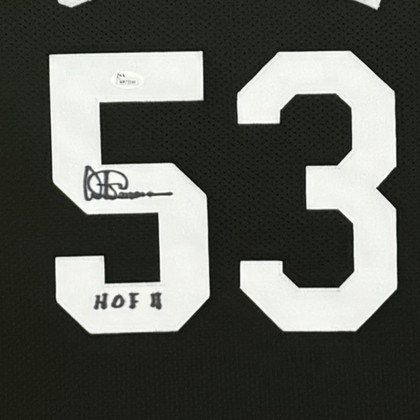 Artis Gilmore Signed HOF 11 San Antonio Black Custom Suede Matte Framed Basketball Jersey