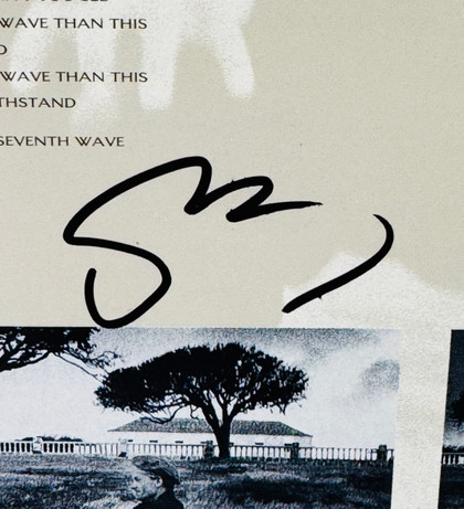 The Dream of the Blue Turtle