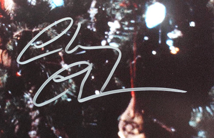 Chevy Chase Christmas Vacation Signed 16x20 Horizontal Tree Photo w/ Silver BAS