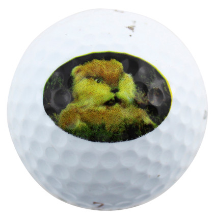 Chevy Chase Authentic Signed Caddyshack Logo Dunlop Golf Ball BAS Wit #WV88451