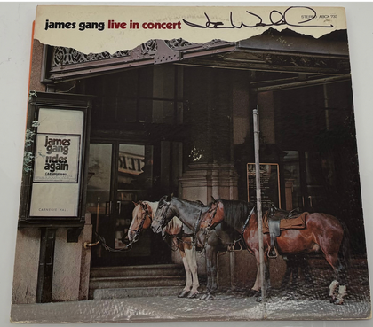 Joe Walsh "Live in Concert"