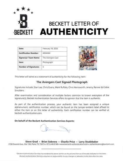 The Avengers Cast (6) Lee, Evans, Ruffalo, Hemsworth +2 Signed 16x20 Photo BAS