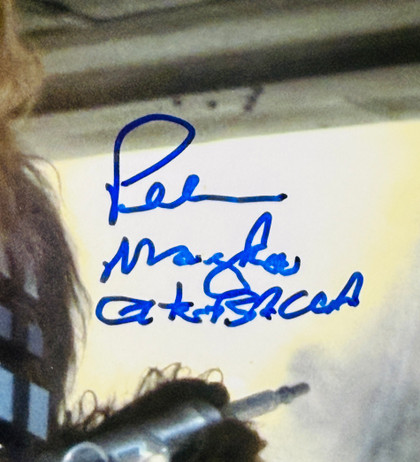Peter Mayhew 8x10 With Chewbacca (Steiner Cert)