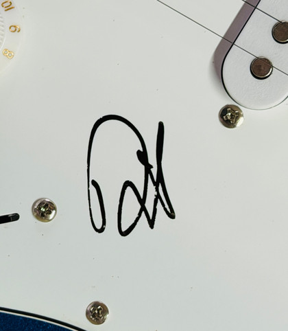 Dave Grohl Nirvana Electric Guitar