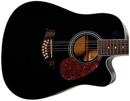 Ryan Cabrera Signed 12-string Acoustic Guitar