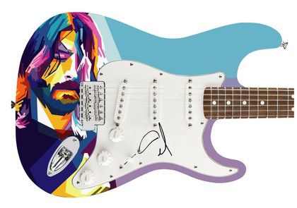 Nirvana Foo Fighters Dave Grohl Autographed Photo Graphics Guitar