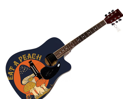 Warren Haynes Signed Allman Brothers Custom 1/1 Graphics Guitar