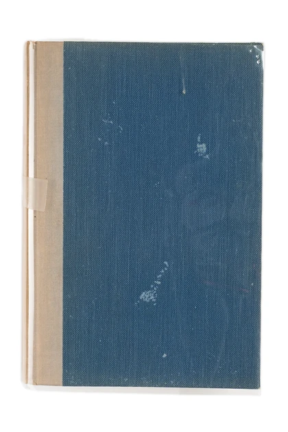 Harold Sinclair's The Horse Soldiers
