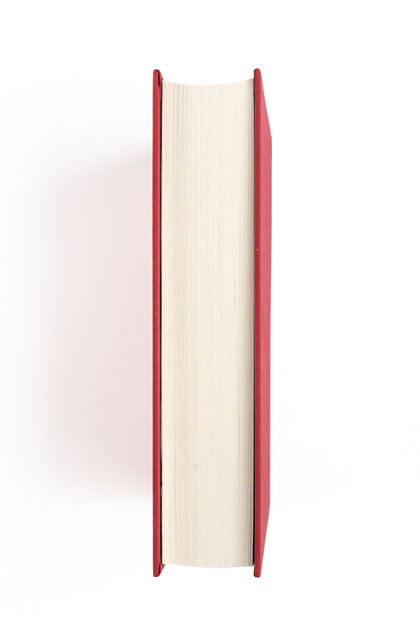 Red Rabbit