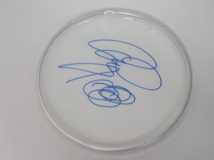 Led Zeppelin Signed Drumhead