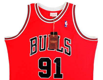 Bulls Dennis Rodman Signed Red Mitchell & Ness HWC Swingman Jersey BAS Witnessed