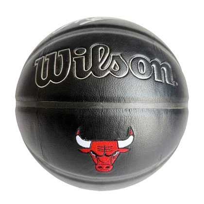 Dennis Rodman Signed Chicago Bulls Wilson NBA Team Logo Basketball (Beckett)