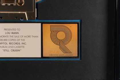 RIAA Gold Record Award: The Beach Boys (Still Cruisin') (unsigned)