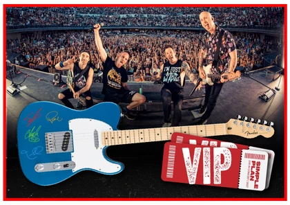 Simple Plan giveaway panel 3