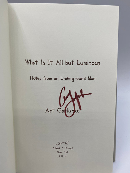 What Is It All but Luminous: Notes from an Underground Man