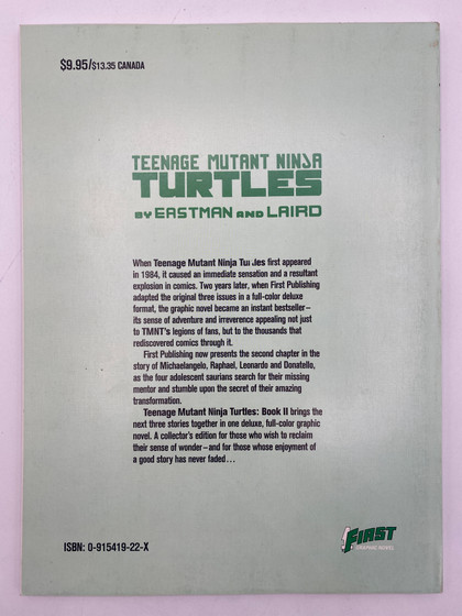 Teenage Mutant Ninja Turtles 2 