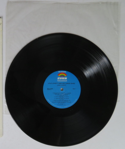 Lyle Lovett And His Large Band