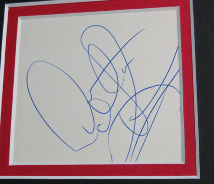 1995-96 Chicago Bulls Team Signed Framed Display