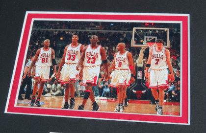 1995-96 Chicago Bulls Team Signed Framed Display