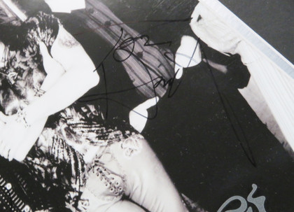 Aerosmith Signed Framed Display