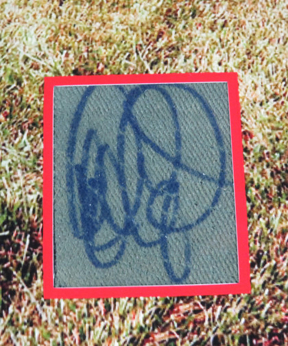 Dale Earnhardt, Sr. Signed Framed Display