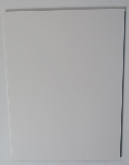 Montgomery Gentry Signed Matted Display