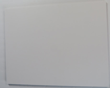 President Jimmy Carter and Family