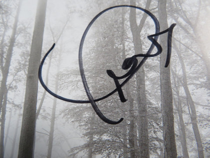 Taylor Swift Signed Framed Display