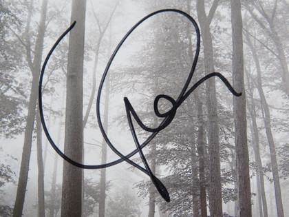 Taylor Swift Signed Framed Display