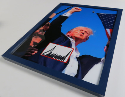 Donald Trump "Assassination Attempt"