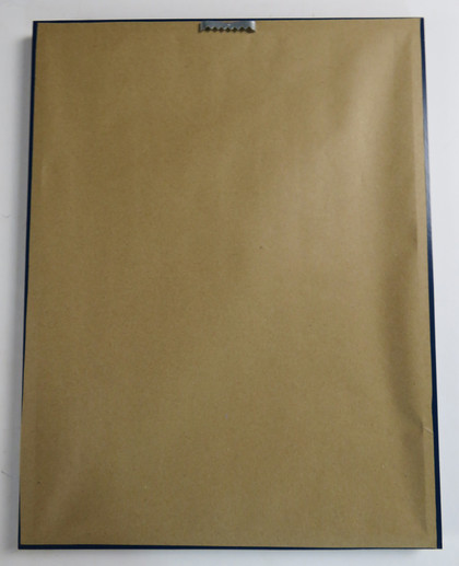 Donald Trump "Assassination Attempt"