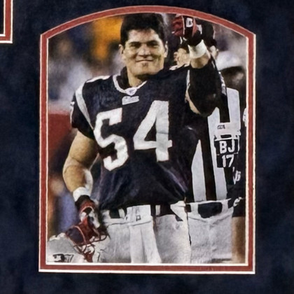 Tedy Bruschi Signed New England Blue Custom Suede Matte Framed Football Jersey (JSA)