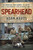 Spearhead:  An American Tank Gunner, His Enemy and a Collision of Lives in World War II