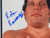 Andre The Giant Photo Inscribed "8th Wonder of the World"