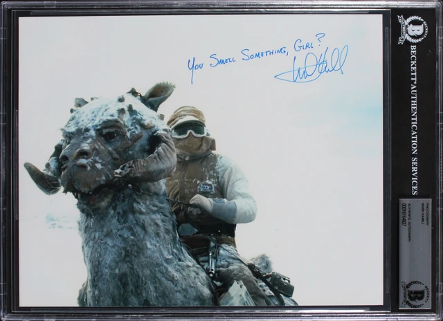 その他 Mark Hamill Auto starwars Amazon.com: HWC Trading Mark Hamill USL Signed Printed Autograph