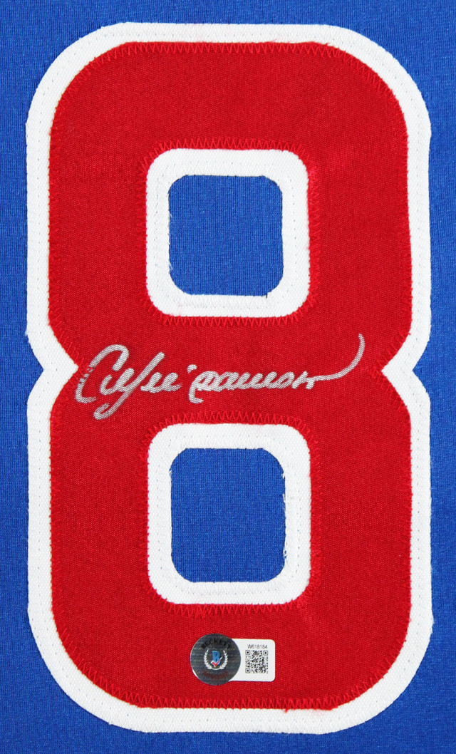 Andre Dawson Authentic Signed Blue Pro Style Framed Jersey BAS Witnessed